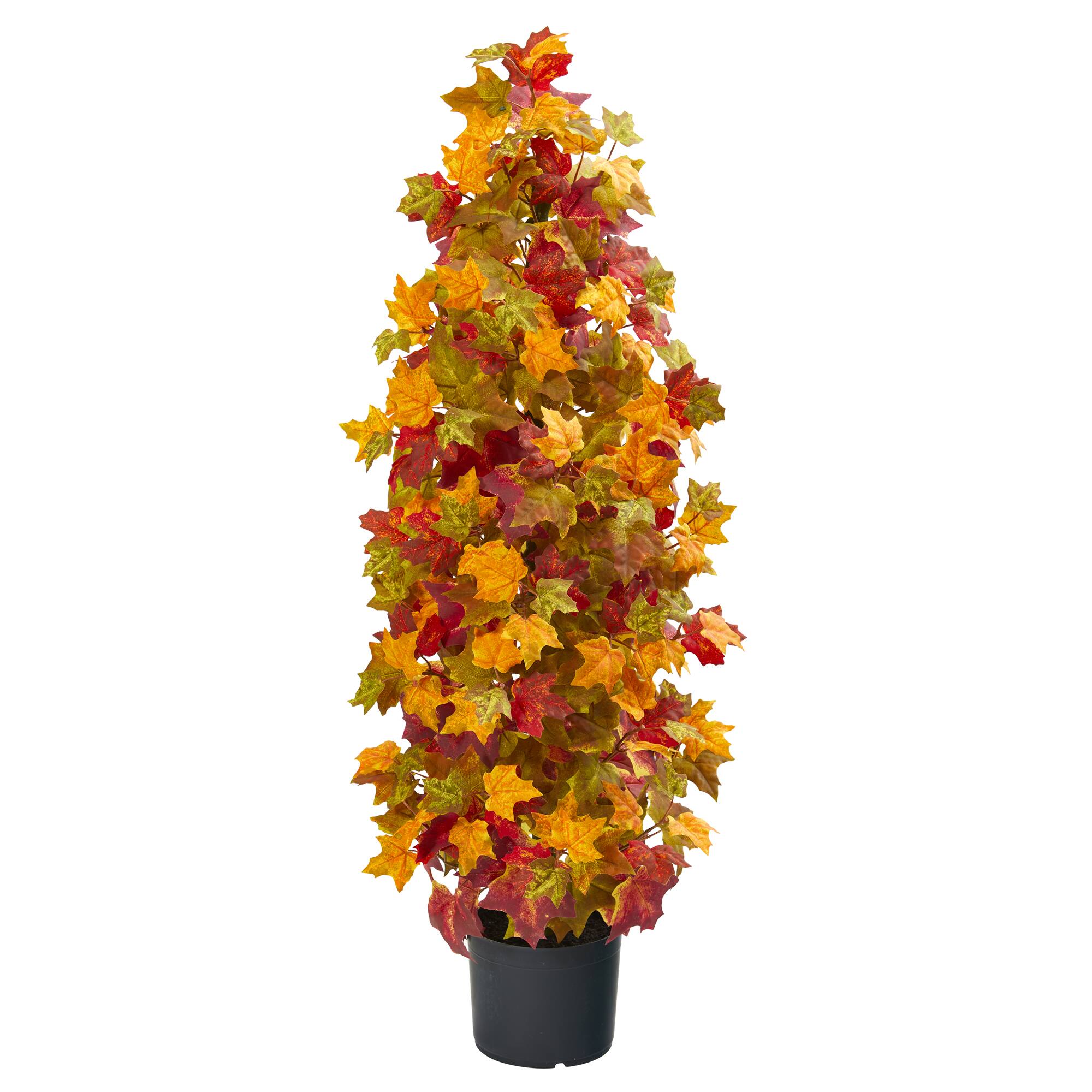 3ft. Potted Autumn Maple Tree